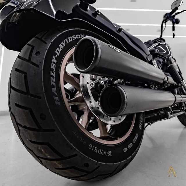 HARLEY-DAVIDSON LOW RIDER S - Imagem 8
