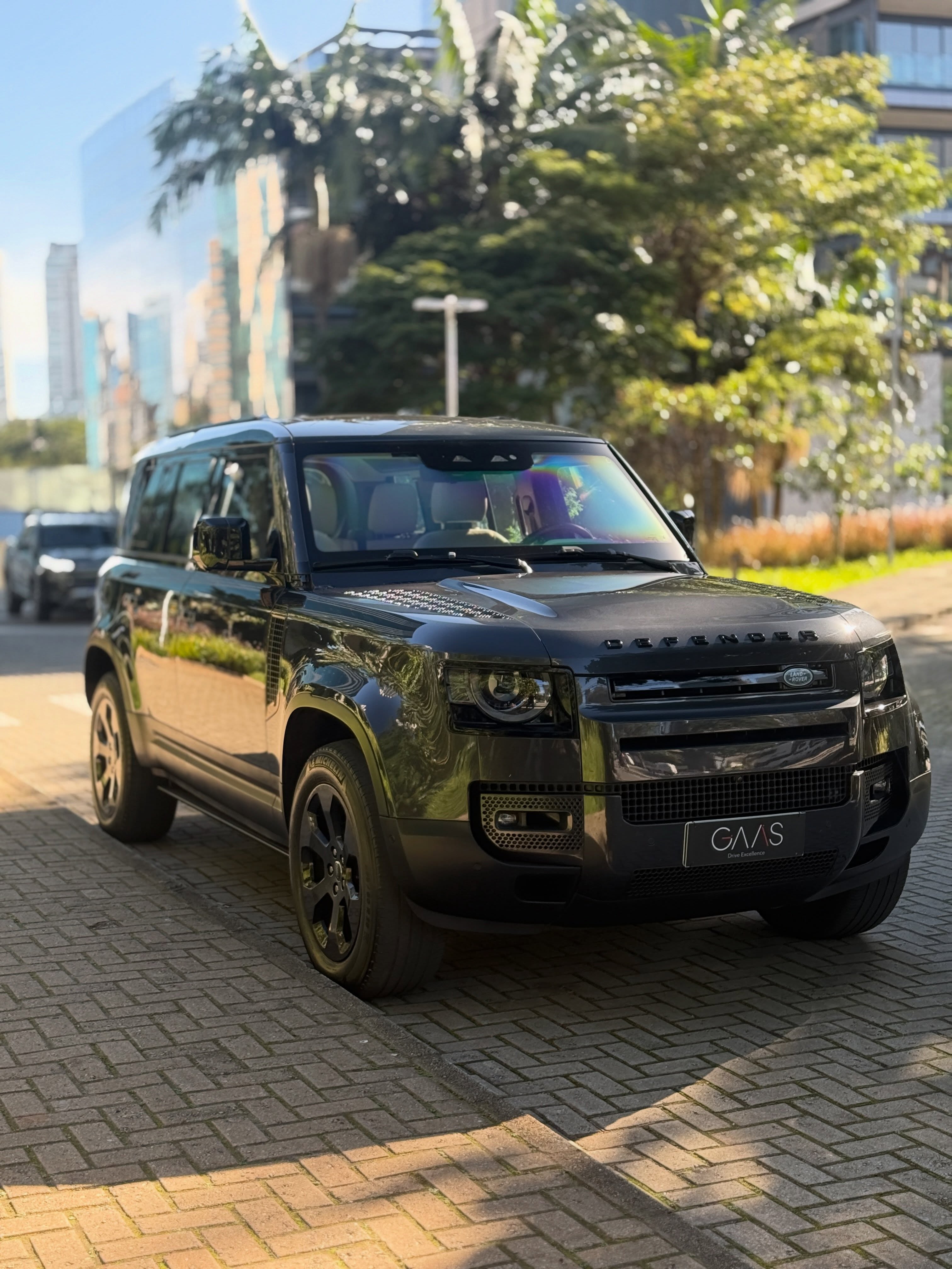 LAND ROVER DEFENDER 110 SE - Imagem 3