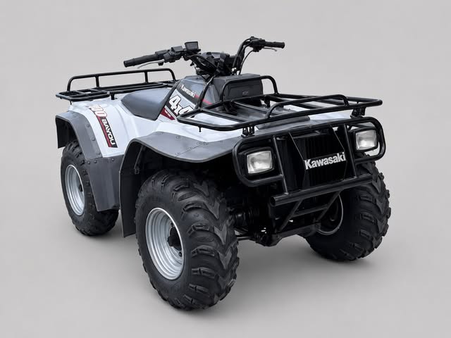 KAWASAKI BAYOU 400 - Imagem 3