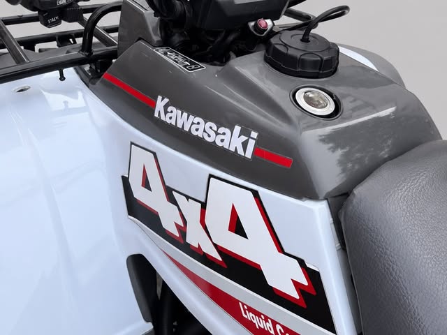 KAWASAKI BAYOU 400 - Imagem 5