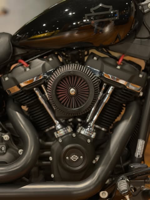 HARLEY-DAVIDSON FAT BOB - Imagem 15