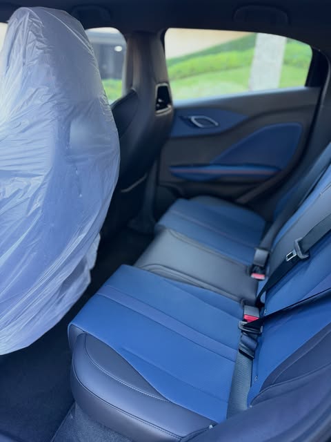 BYD DOLPHIN MINI GS - Imagem 11
