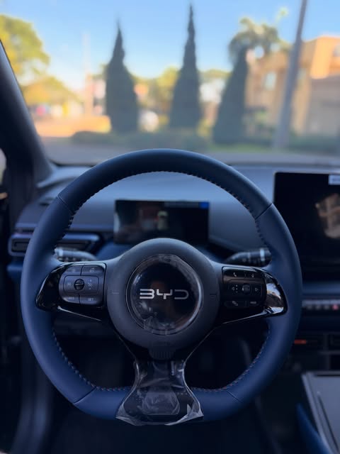 BYD DOLPHIN MINI GS - Imagem 15