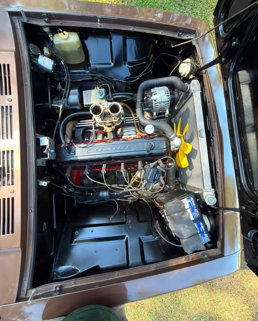 CHEVROLET CARAVAN - Imagem 18