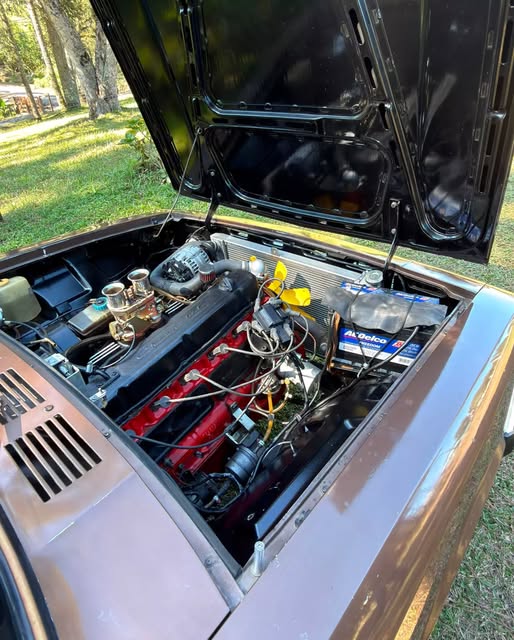 CHEVROLET CARAVAN - Imagem 20