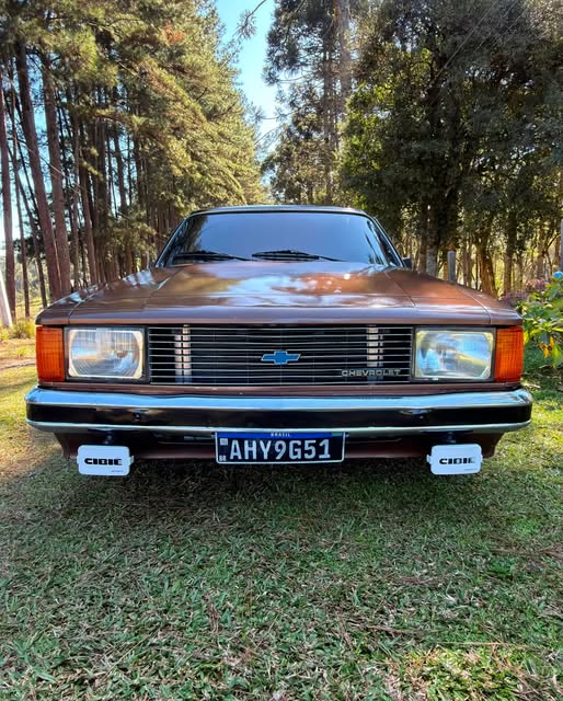 CHEVROLET CARAVAN - Imagem 6