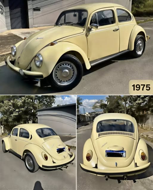VOLKSWAGEN FUSCA - Imagem 1