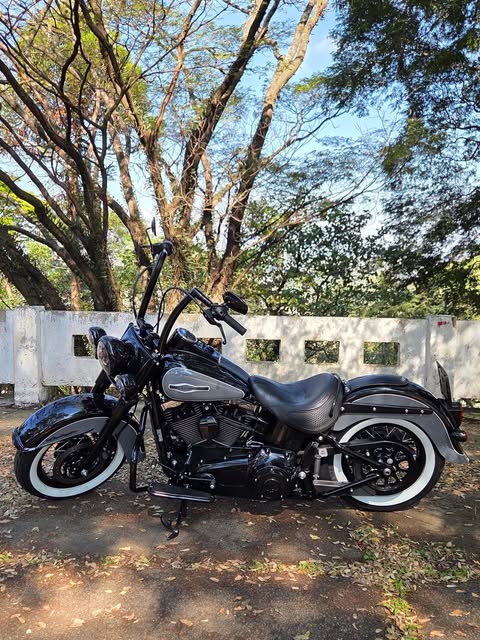 HARLEY-DAVIDSON SOFTAIL DELUXE - Imagem 2
