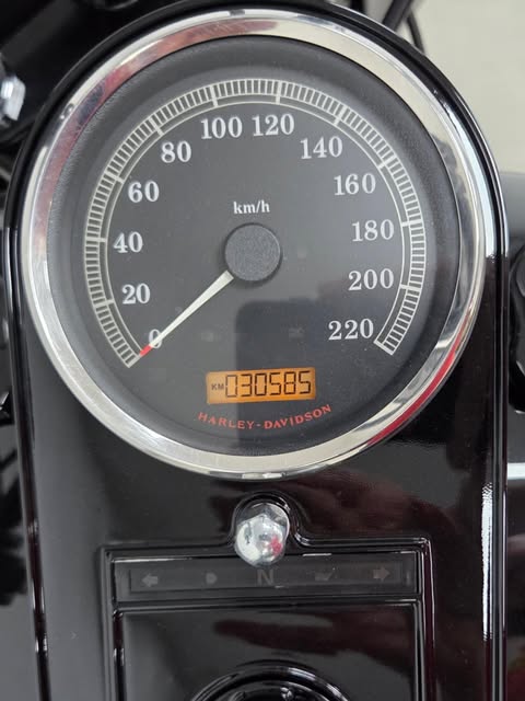HARLEY-DAVIDSON SOFTAIL DELUXE - Imagem 14