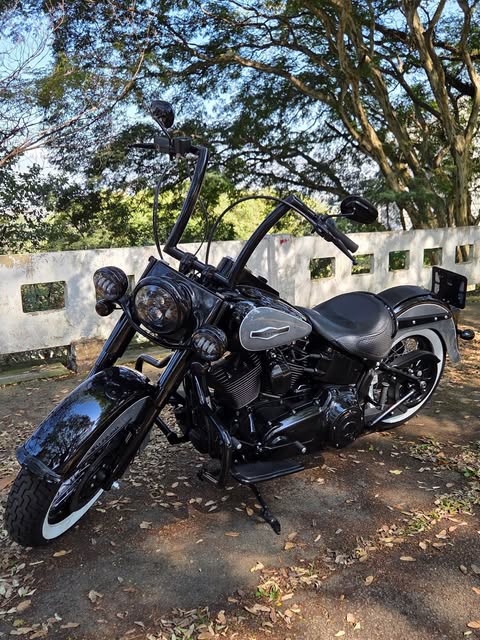 HARLEY-DAVIDSON SOFTAIL DELUXE - Imagem 5