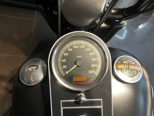 HARLEY-DAVIDSON FAT BOY - Imagem 7