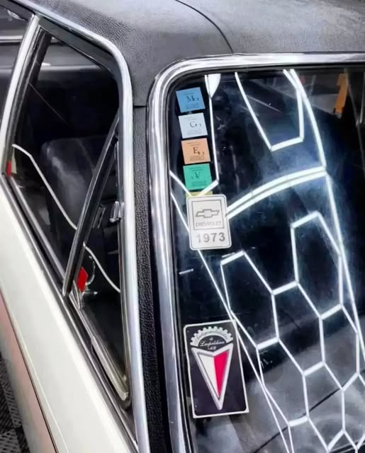 CHEVROLET OPALA DE LUXO - Imagem 10