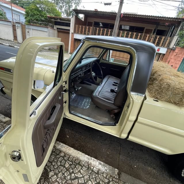 FORD F-100 - Imagem 13