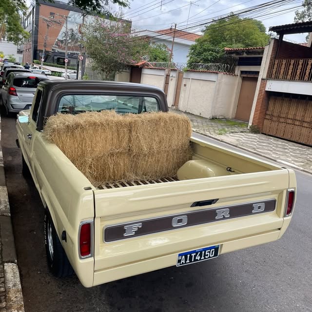 FORD F-100 - Imagem 9