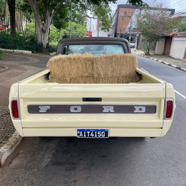 FORD F-100 - Imagem 10