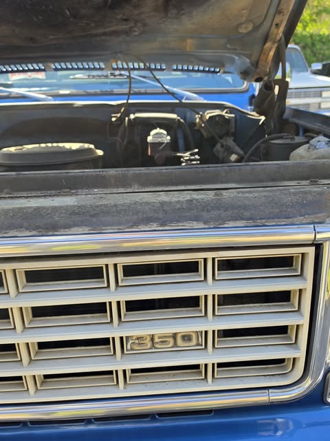 CHEVROLET C10 SILVERADO - Imagem 12