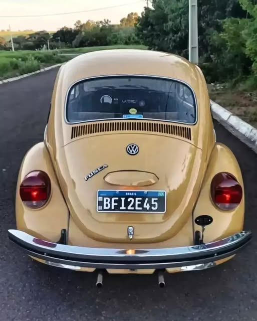 VOLKSWAGEN FUSCA - Imagem 6