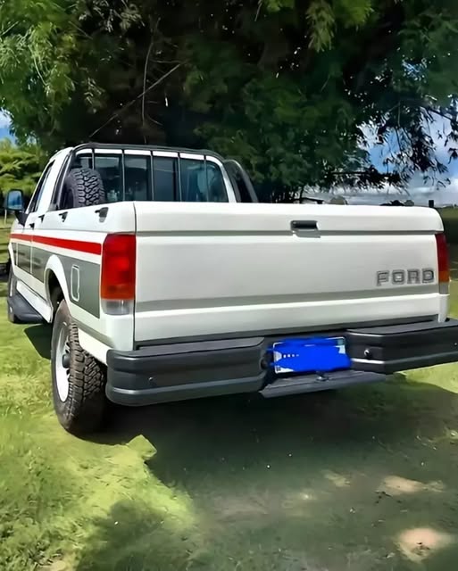 FORD F1000 - Imagem 3