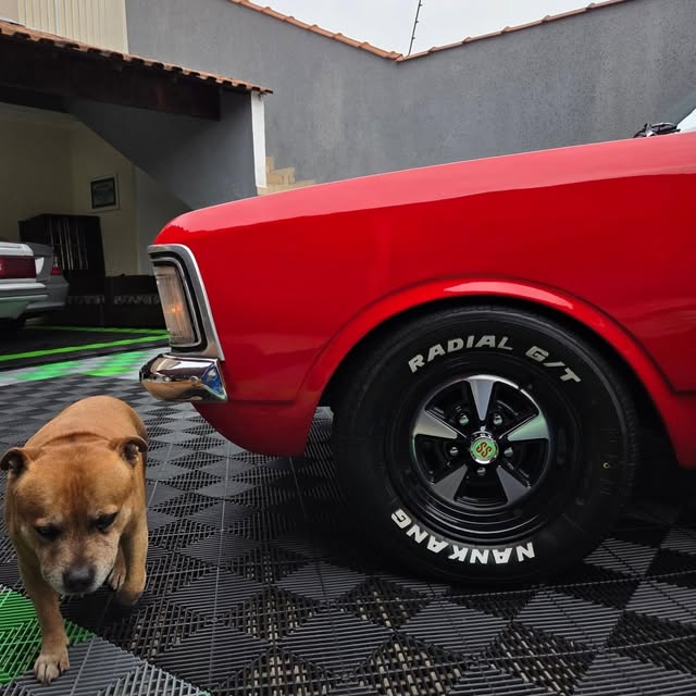 CHEVROLET OPALA COUPE - Imagem 5