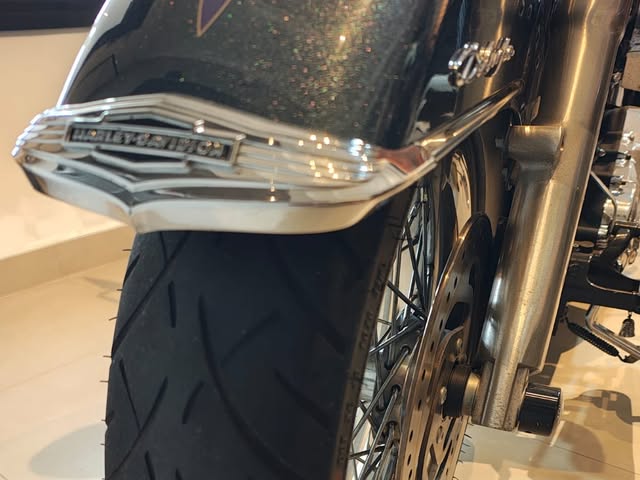 HARLEY-DAVIDSON SOFTAIL DELUXE FLSTN - Imagem 8