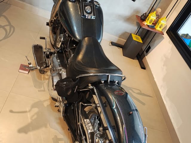 HARLEY-DAVIDSON SOFTAIL DELUXE FLSTN - Imagem 10