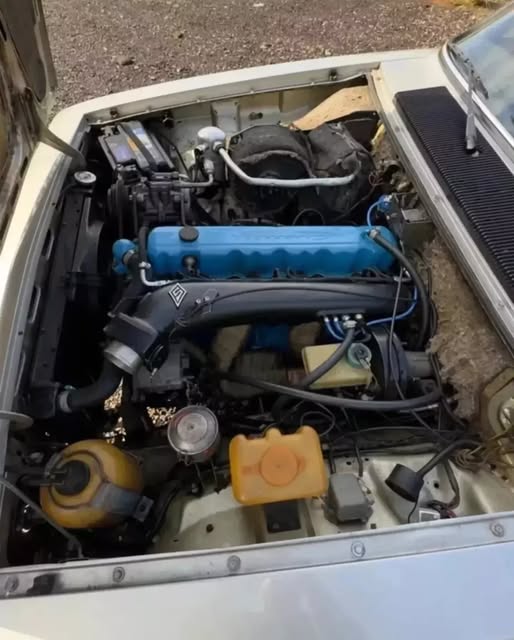 CHEVROLET OPALA DIPLOMATA 4.1 250/S - Imagem 17