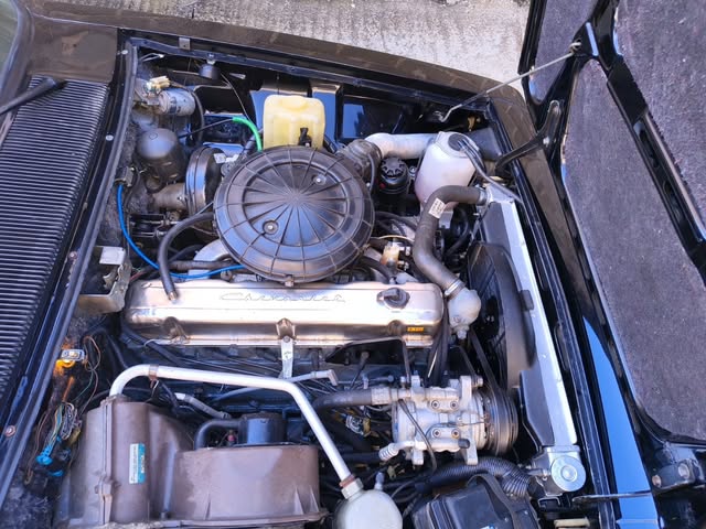 CHEVROLET OPALA DIPLOMATA SE 4.1/S AUTOMÁTIC - Imagem 13
