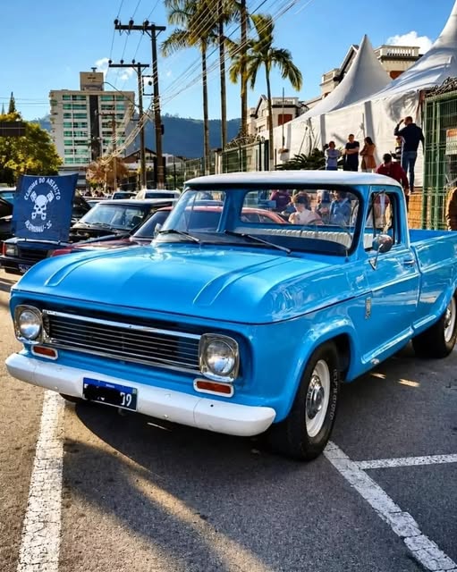 CHEVROLET C10 - Imagem 2