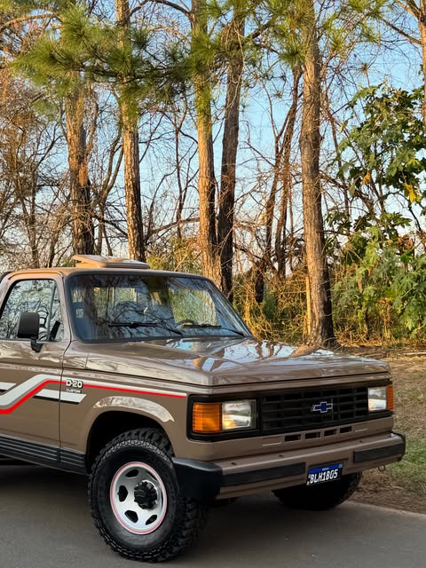 CHEVROLET D20 CUSTOM L - Imagem 8