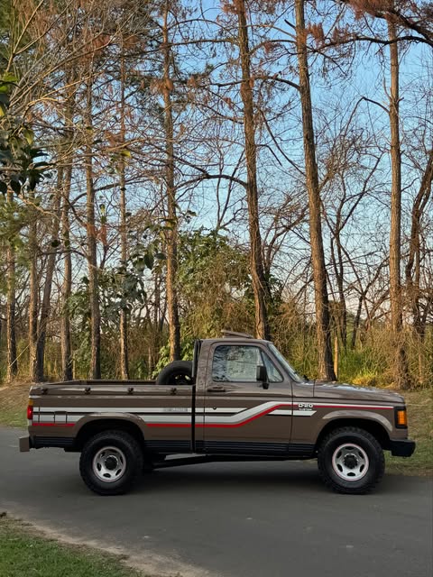CHEVROLET D20 CUSTOM L - Imagem 9