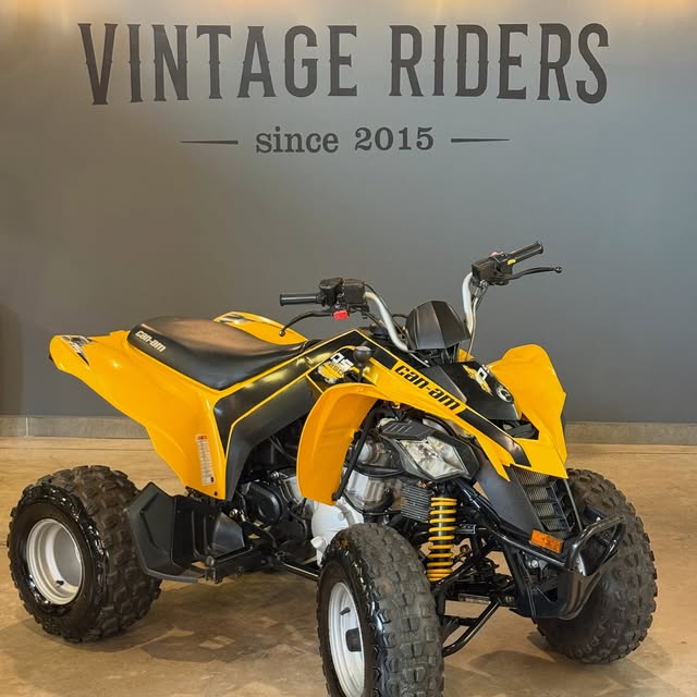 CAN-AM DS 250 - Imagem 1