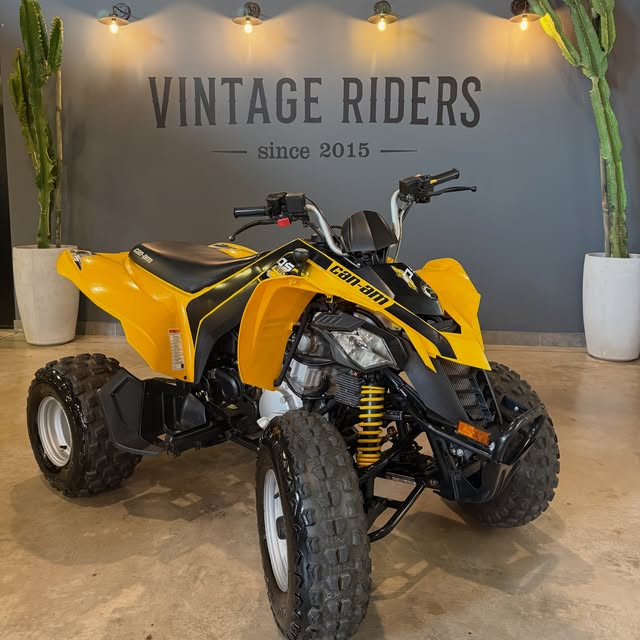 CAN-AM DS 250 - Imagem 2