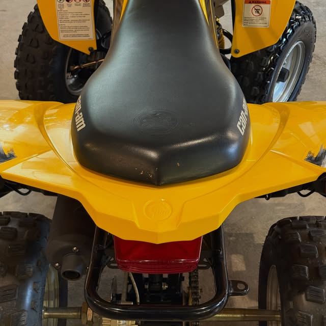CAN-AM DS 250 - Imagem 3