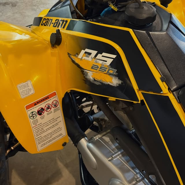 CAN-AM DS 250 - Imagem 4
