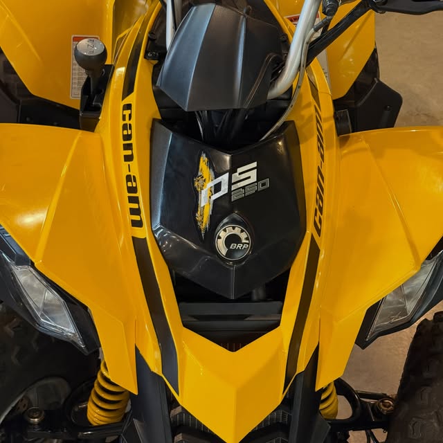 CAN-AM DS 250 - Imagem 6