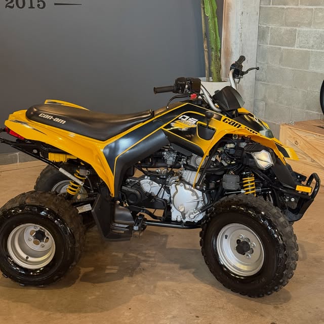 CAN-AM DS 250 - Imagem 7