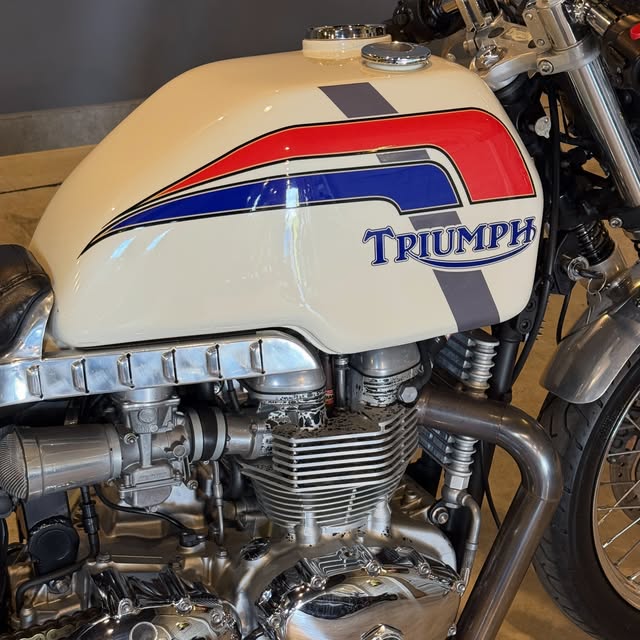 TRIUMPH BONNEVILLE T 100 - Imagem 9