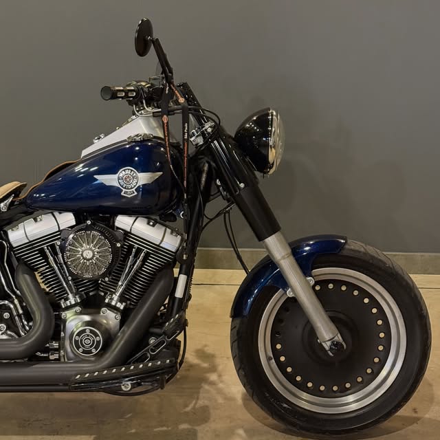HARLEY-DAVIDSON FAT BOY SPECIAL - Imagem 2