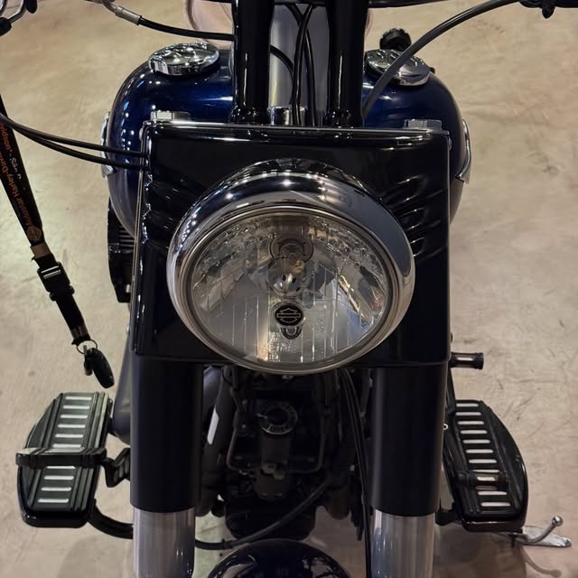 HARLEY-DAVIDSON FAT BOY SPECIAL - Imagem 3