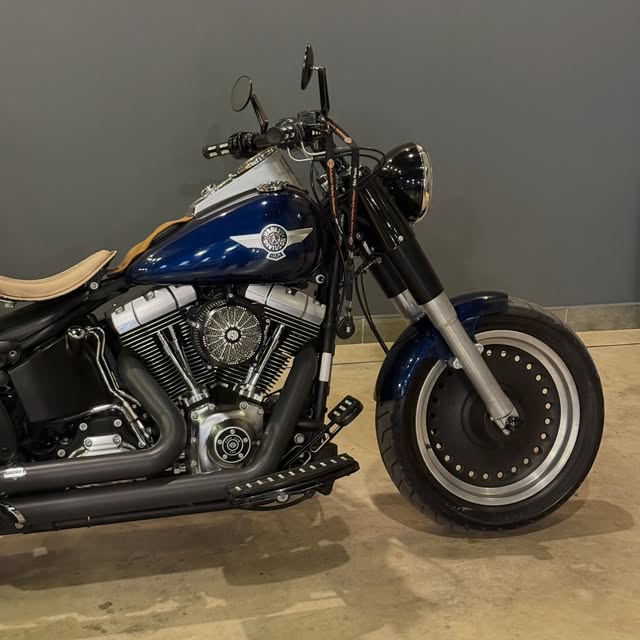 HARLEY-DAVIDSON FAT BOY SPECIAL - Imagem 6