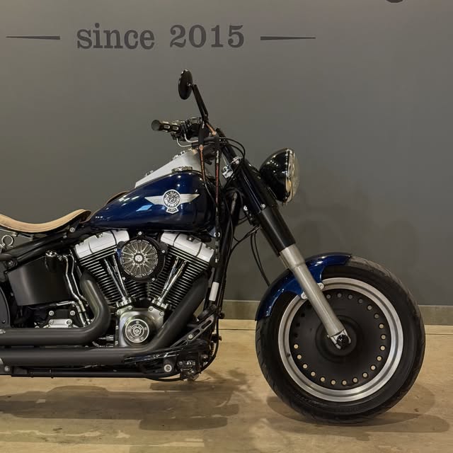 HARLEY-DAVIDSON FAT BOY SPECIAL - Imagem 7