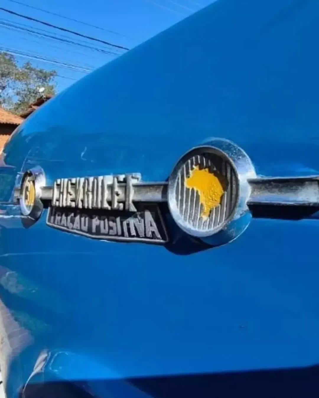 CHEVROLET 3100 - Imagem 12