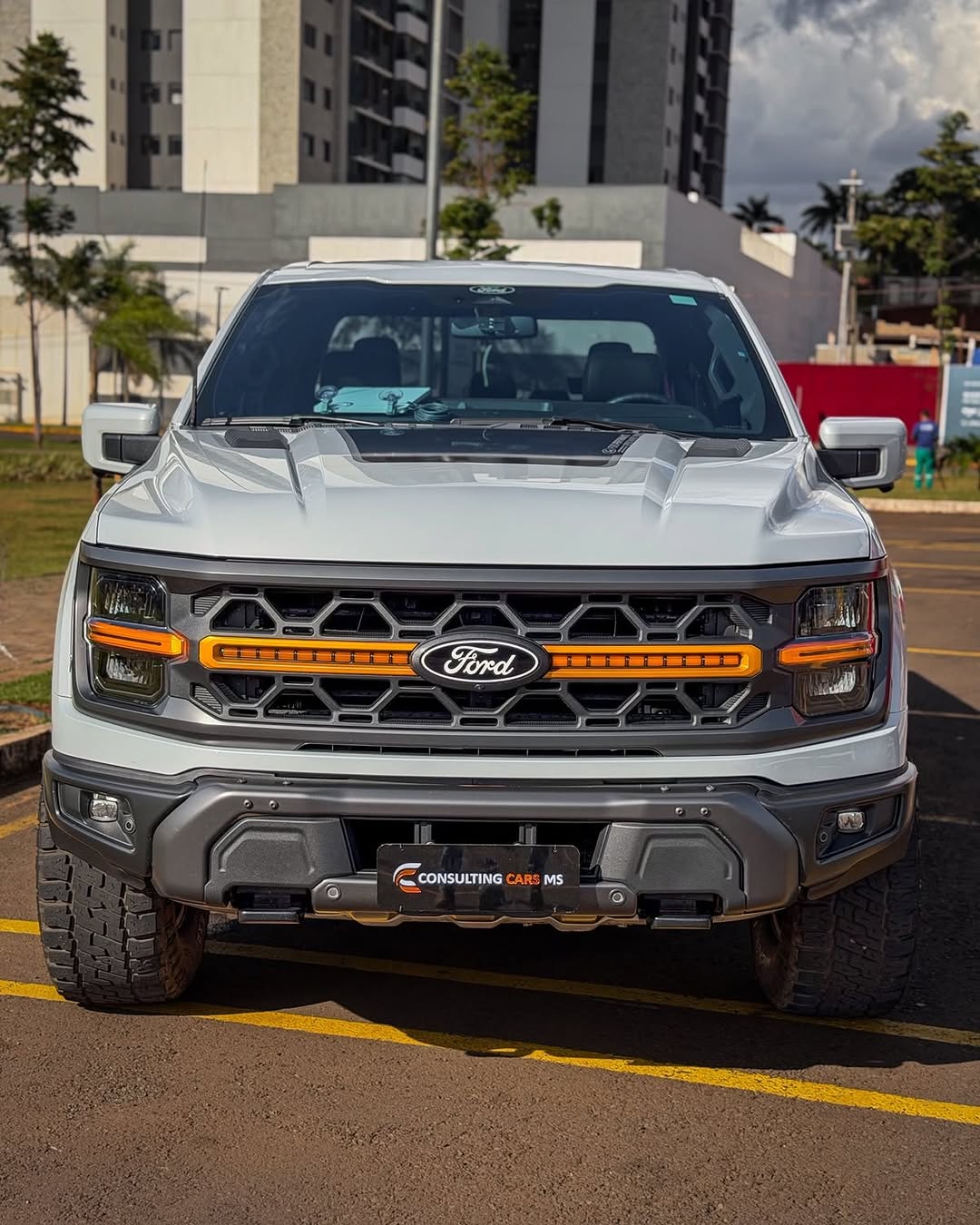 FORD F-150 TREMOR - Imagem 2