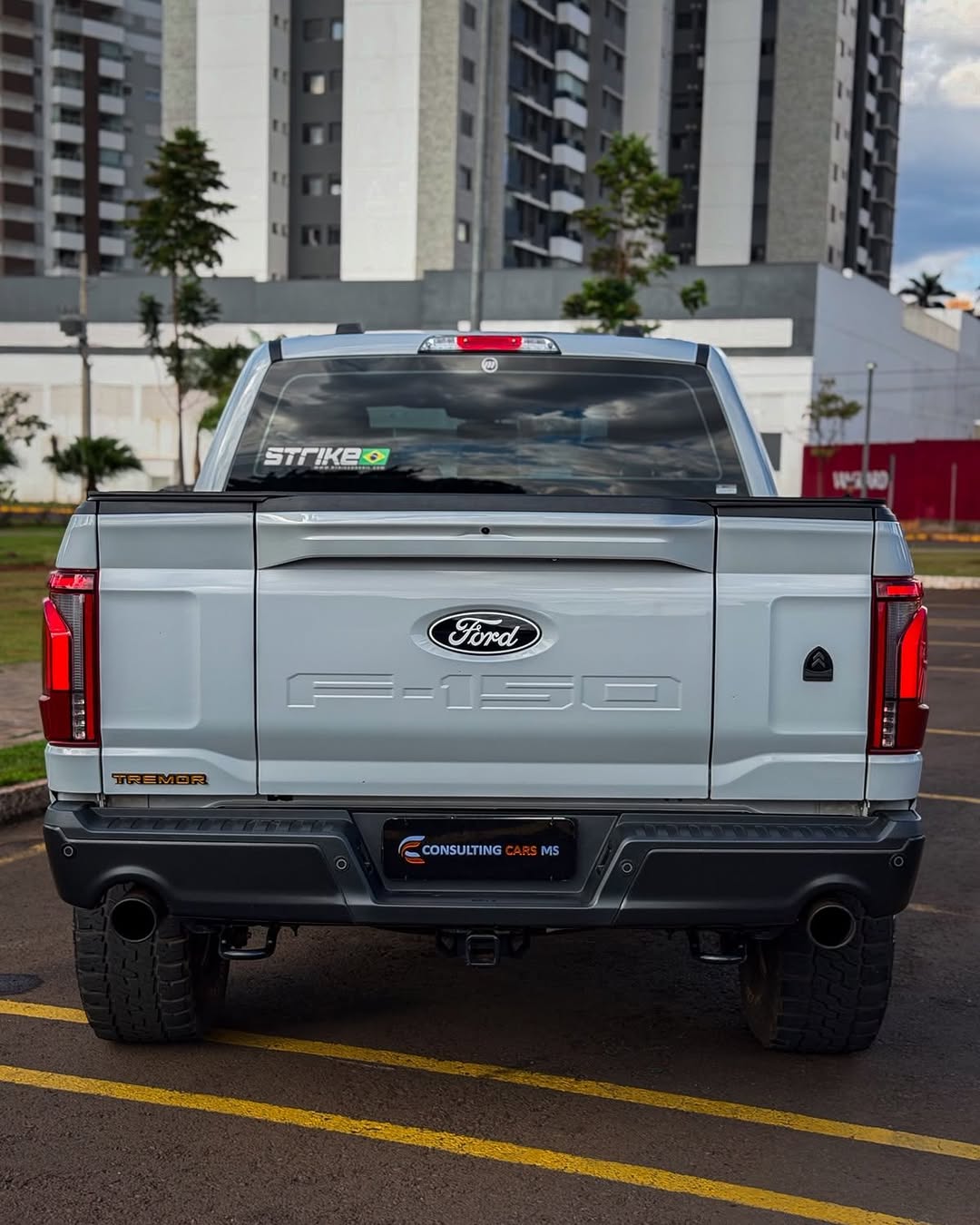 FORD F-150 TREMOR - Imagem 4