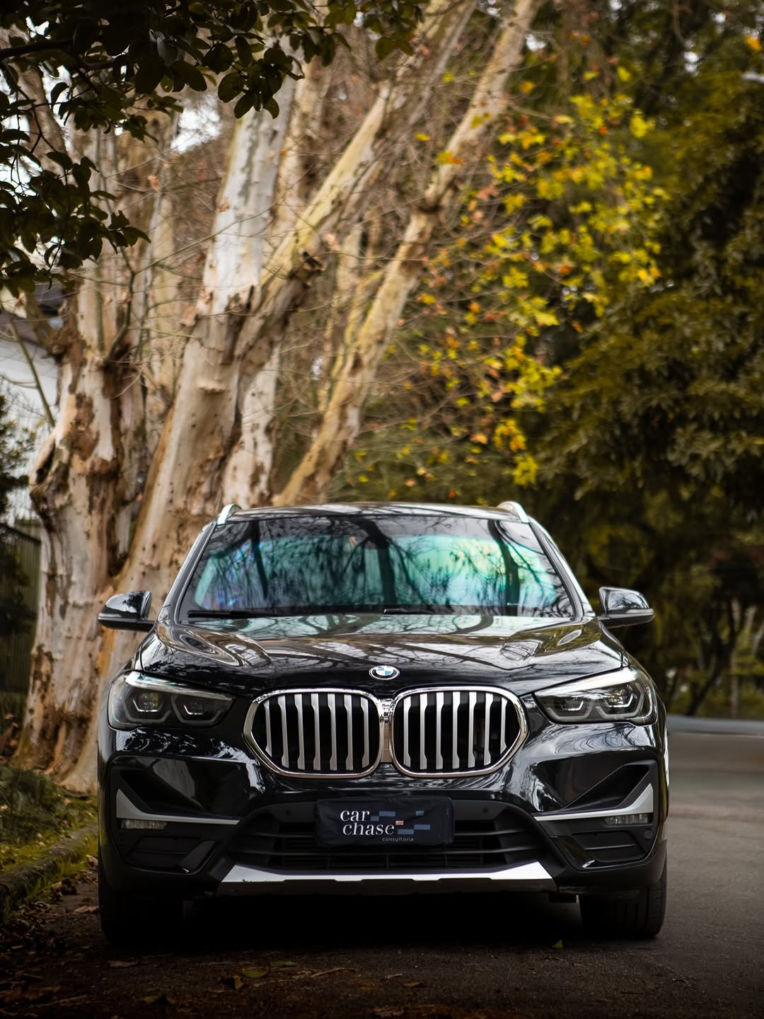 BMW X1 X-LINE - Imagem 2