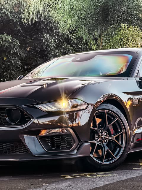 FORD MUSTANG MACH 1 - Imagem 3