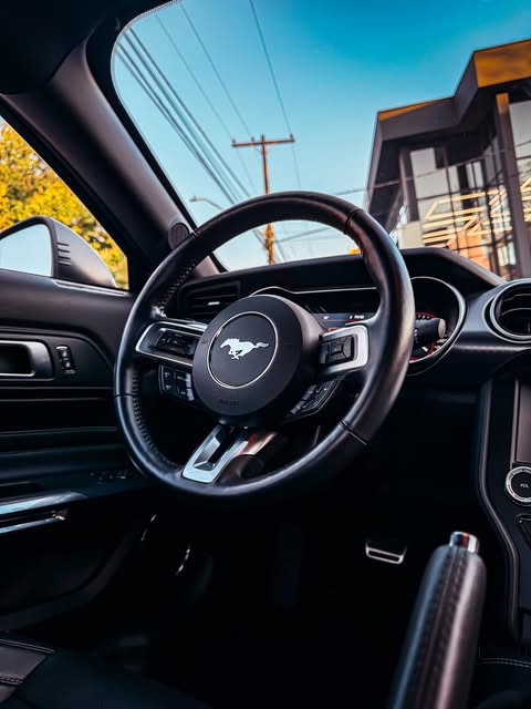 FORD MUSTANG MACH 1 - Imagem 10