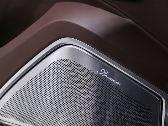 PORSCHE CAYENNE E-HYBRID PLATINUM EDITION - Imagem 10
