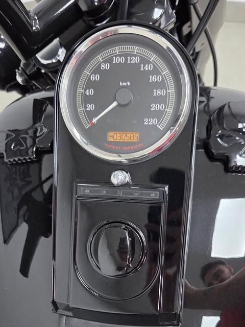 HARLEY-DAVIDSON SOFTAIL DELUXE - Imagem 15