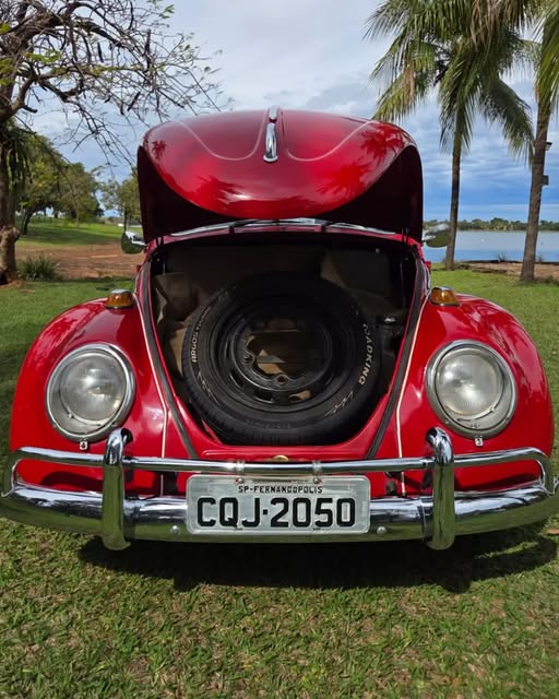 VOLKSWAGEN FUSCA - Imagem 11